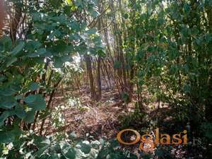 Odličan plac na Alibegovcu